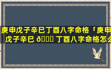 庚申戊子辛巳丁酉八字命格「庚申戊子辛巳 🐘 丁酉八字命格怎么样」